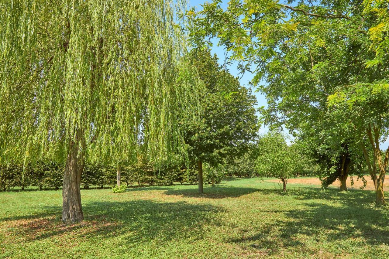 Agriturismo Forzello Ariano nel Polesine Ngoại thất bức ảnh